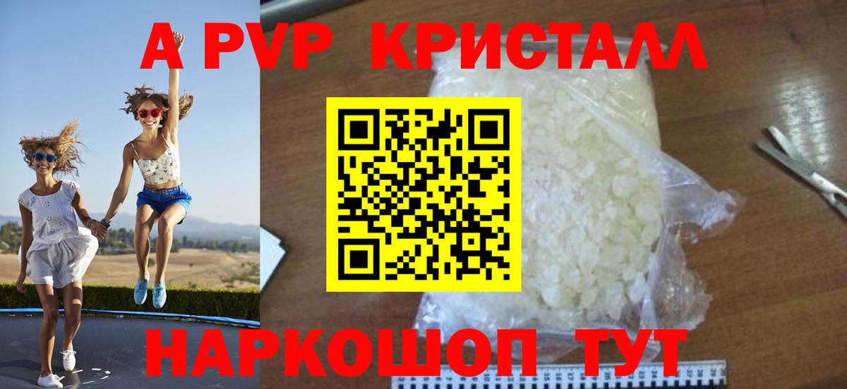 A PVP крисы CK  Вход с VPN  Alfa_PVP СК КРИС  Майкоп  Alfa_PVP  А ПВП СК КРИС 