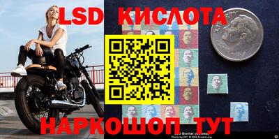 гашик Дубна