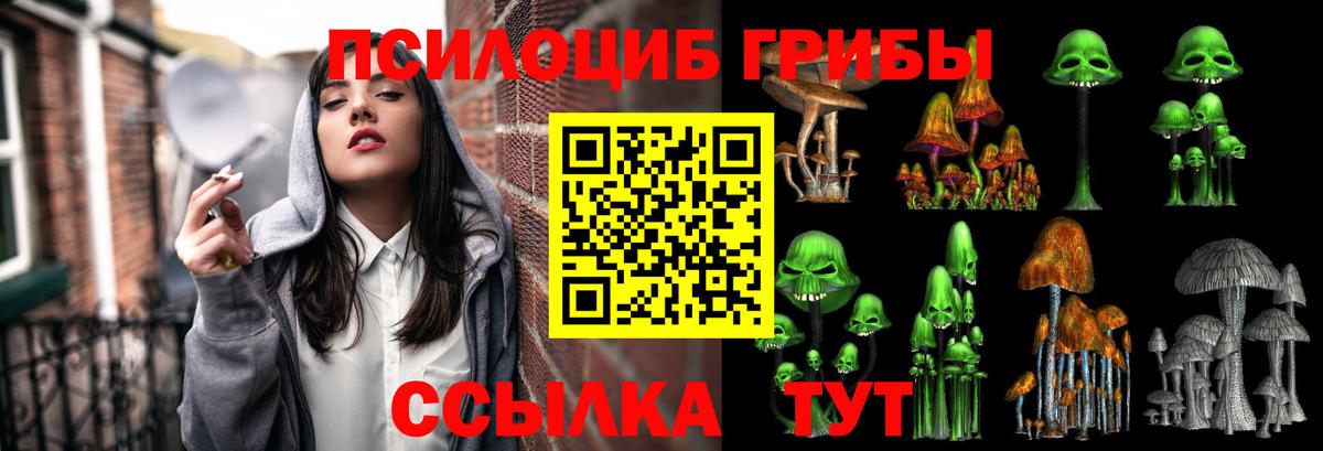 Галлюциногенные грибы Psilocybe  Вход с VPN  Майкоп 